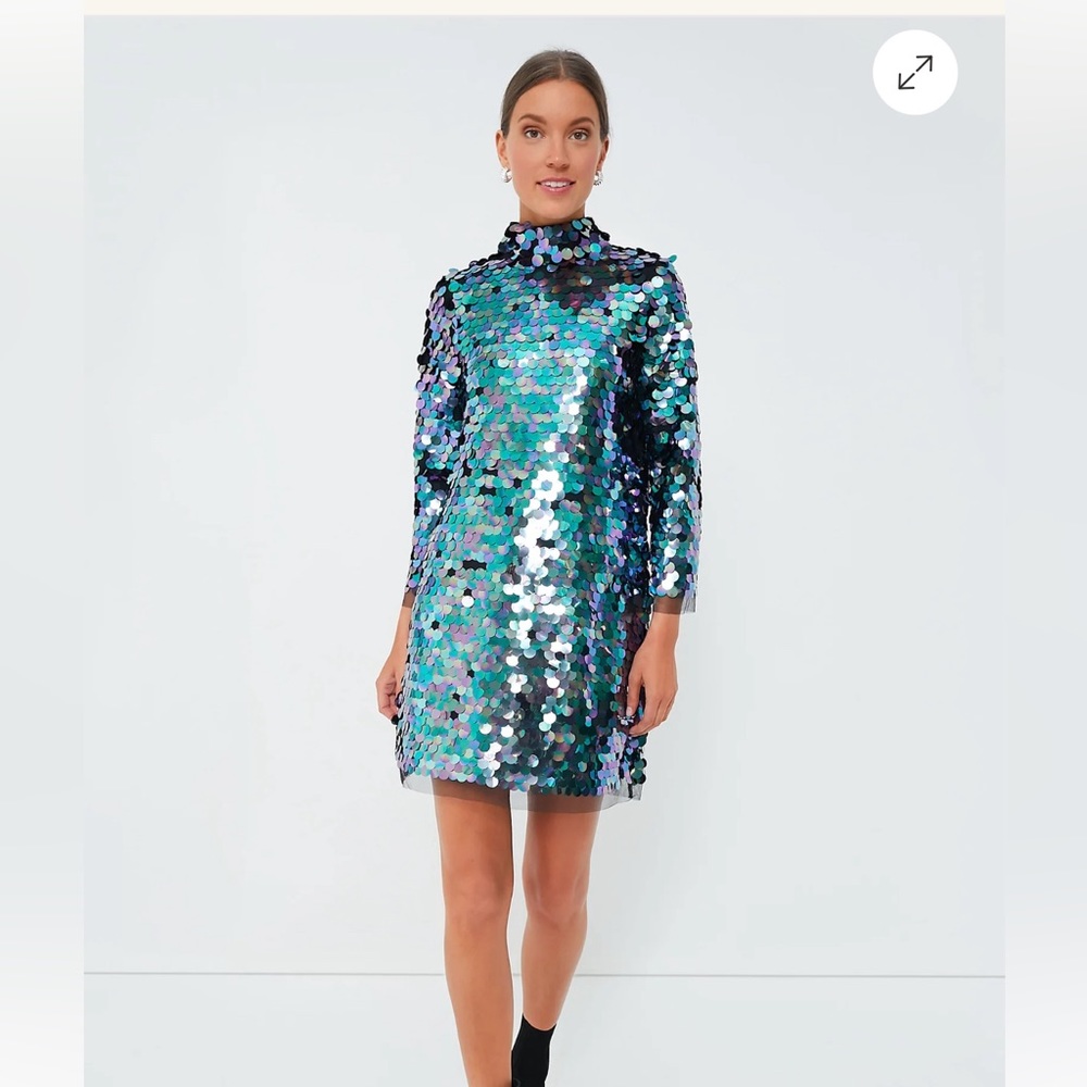 Tuckernuck size small large sequined shift dress mock turtleneck